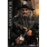 TGTOYS×SWTOYS TG8015 1/6 Scale Blackbeard